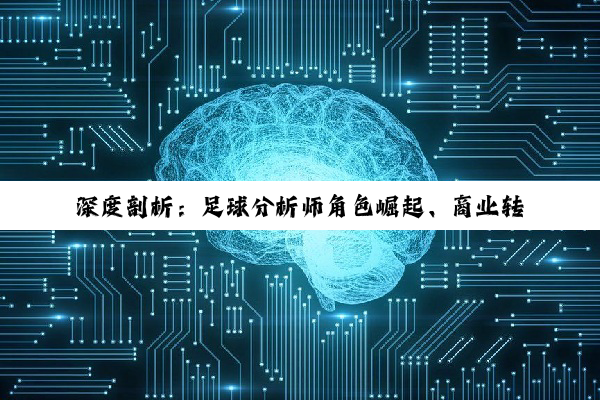 深度剖析：足球分析师角色崛起、商业转让费奥秘、量化交易策略与CRV油耗监测技术，...