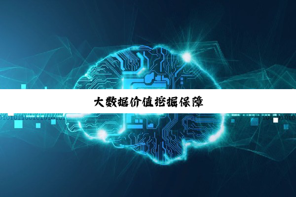 大数据价值挖掘保障