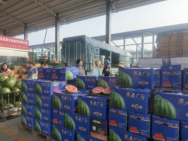 西瓜批量上市。新京报记者 陈琳 摄