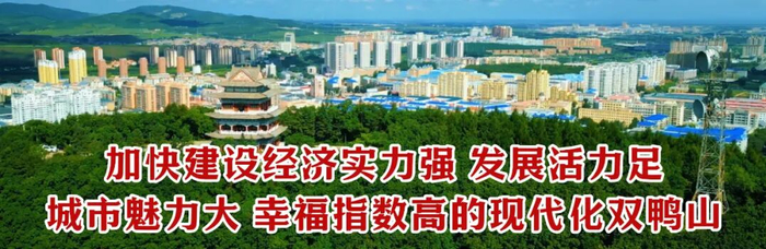 局部短时强降雨+雷暴大风！明天起，双鸭山将迎来两场大雨→